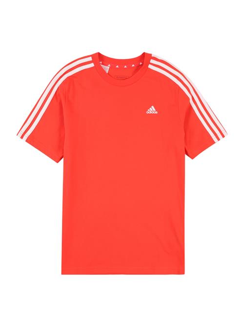 ADIDAS SPORTSWEAR Funktionsskjorte 'Essentials'  orangerød / hvid