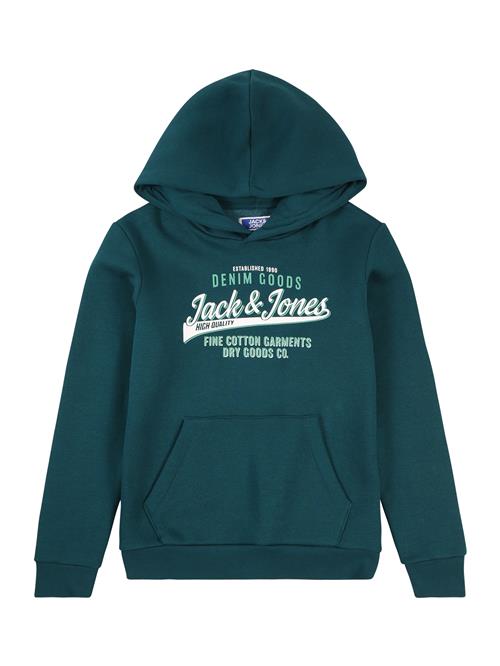 Jack & Jones Junior Sweatshirt  turkis / smaragd / hvid