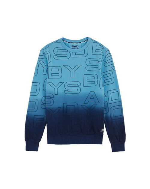 Se WE Fashion Sweatshirt  mørkeblå ved About You