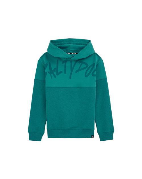 WE Fashion Sweatshirt  smaragd / mørkegrøn