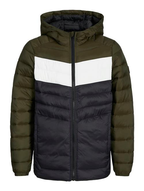 Jack & Jones Junior Vinterjakke 'JJESprint'  marin / mørkegrøn / hvid