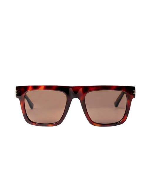 SOHO COPENHAGEN Solbriller 'Soho Bold'  brun