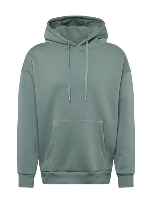 Cars Jeans Sweatshirt 'FERGAL'  pastelgrøn