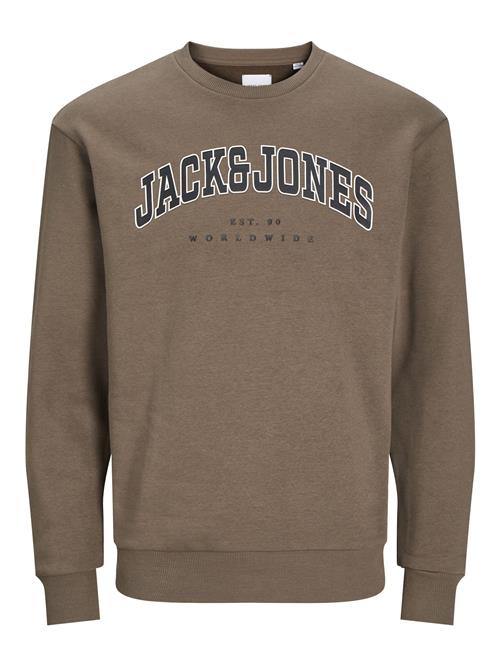 Jack & Jones Junior Sweatshirt  brun / sort / hvid