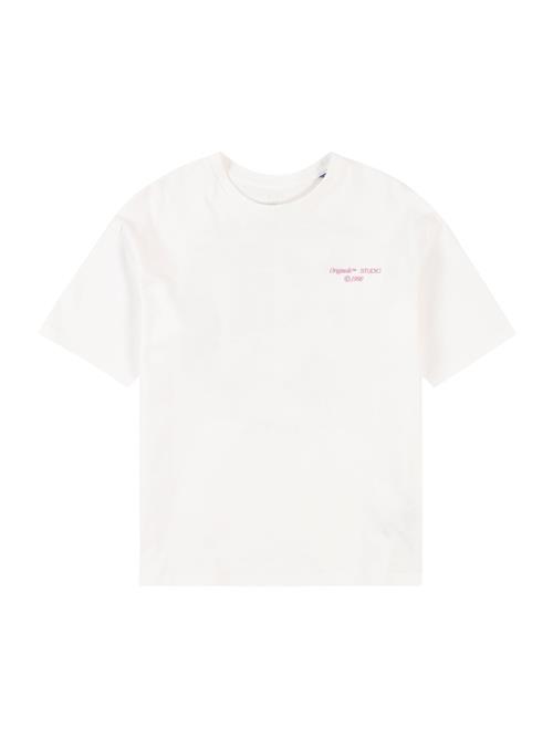 Jack & Jones Junior Shirts 'JORNOHO'  lysegrå / lys pink / sort / hvid