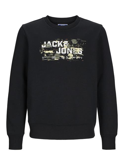 Jack & Jones Junior Sweatshirt  beige / oliven / sort