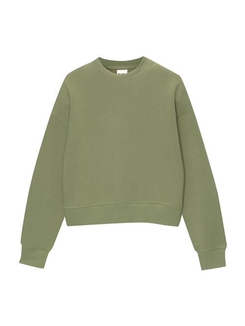 Pull&Bear Sweatshirt  grøn