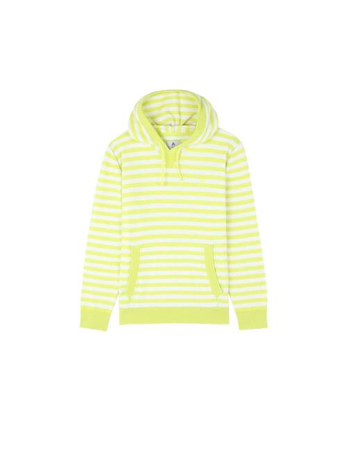 Scalpers Pullover  lemon / hvid