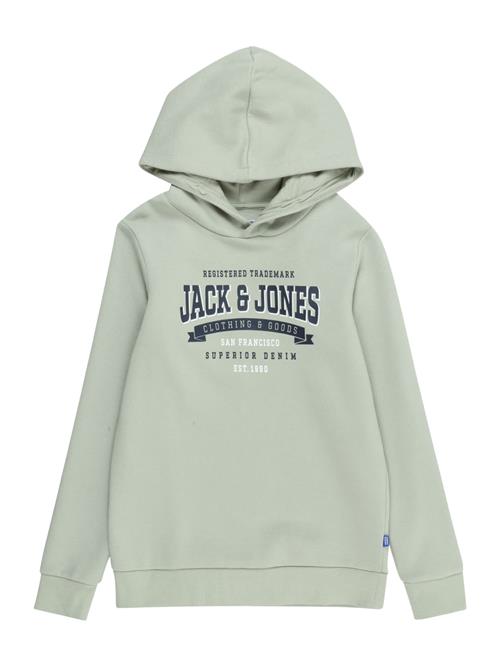 Jack & Jones Junior Sweatshirt  navy / lysegrå / offwhite