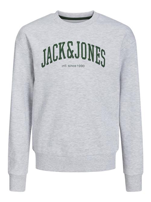 Se Jack & Jones Junior Sweatshirt 'JJEJosh'  grå-meleret / gran ved About You