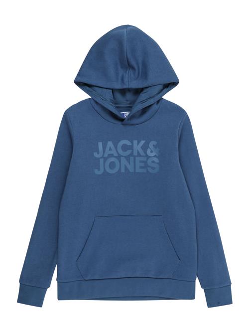 Jack & Jones Junior Sweatshirt 'JJECorp'  lyseblå / mørkeblå