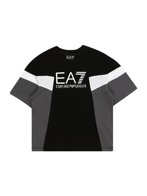 EA7 Emporio Armani Shirts  mørkegrå / sort / hvid