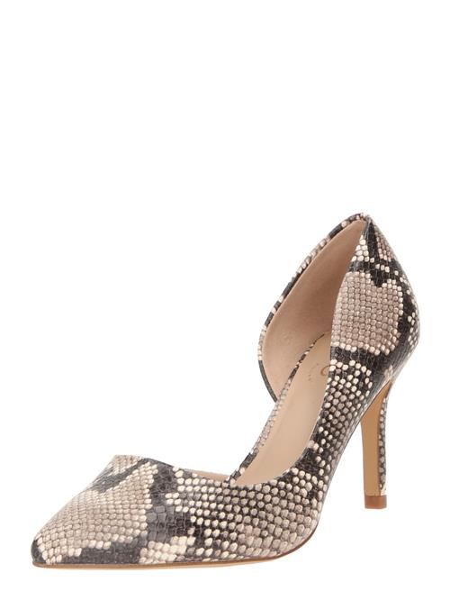 Se ALDO Pumps 'VRALG'  beige / grå / sort ved About You