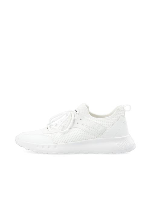 Se Bianco Sneaker low 'LAUREN'  hvid ved About You