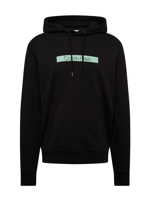 Calvin Klein Sweatshirt  mint / sort