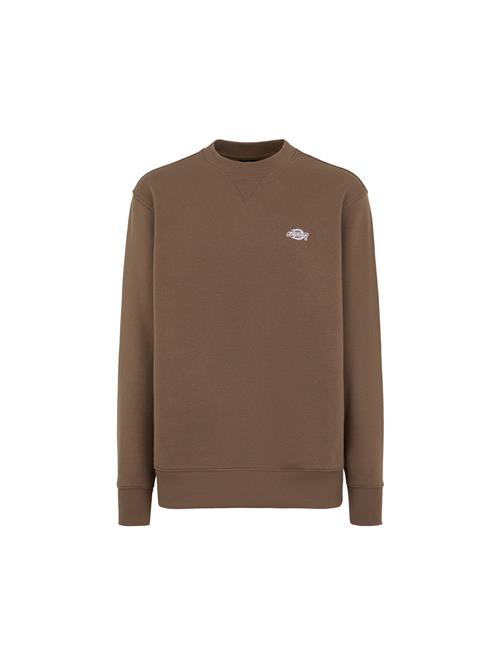 Se DICKIES Sweatshirt 'SUMMERDALE'  brun / naturhvid ved About You