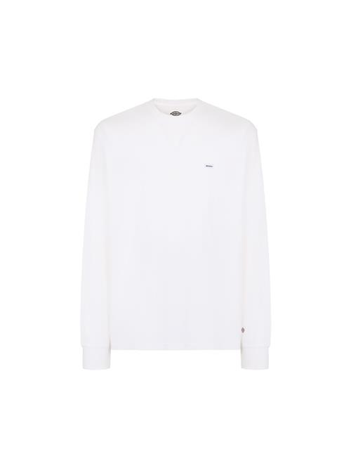 DICKIES Bluser & t-shirts 'CLANCY'  sort / offwhite