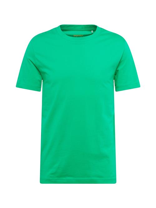 ESPRIT Bluser & t-shirts  lysegrøn