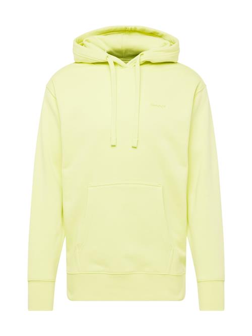 GANT Sweatshirt  siv