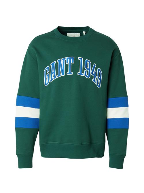 GANT Sweatshirt  blå / grøn / hvid