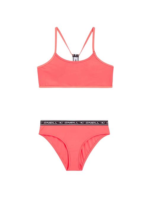 O'NEILL Bikini  orange / sort / hvid