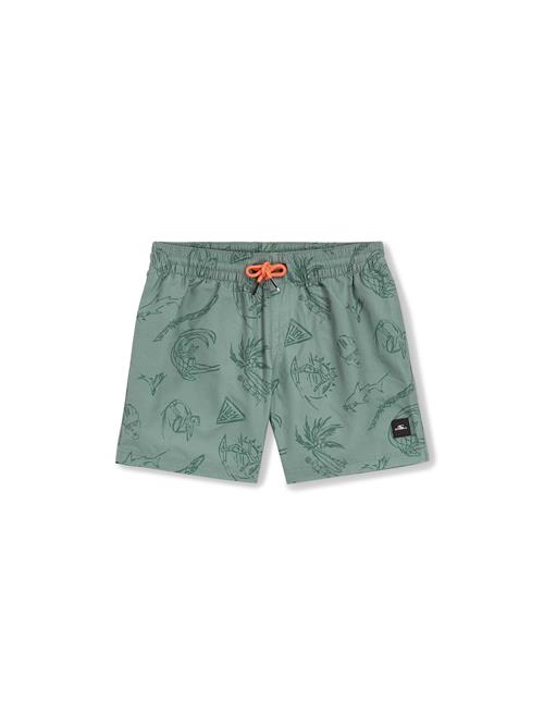 O'NEILL Badeshorts 'Mix & Match Cali Print 13'  grøn