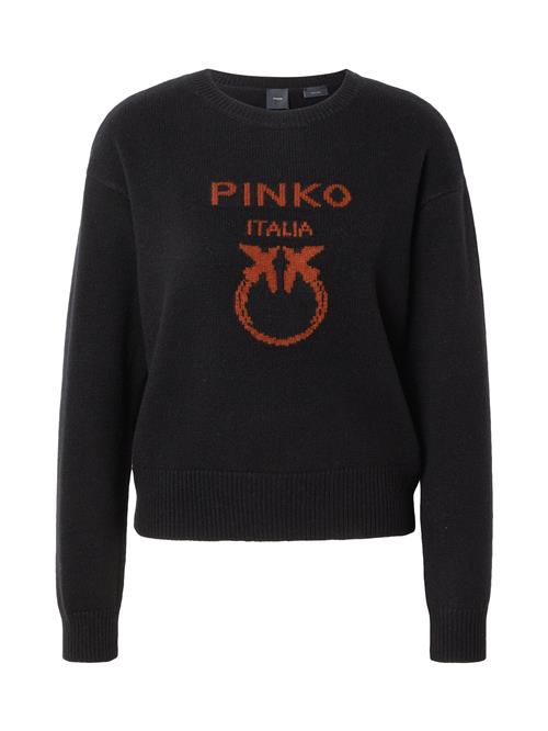 PINKO Pullover 'BURGOS'  brun / sort