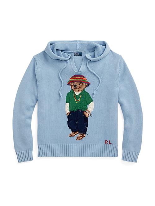 Se Polo Ralph Lauren Pullover  blå / lyseblå / brun / grøn ved About You