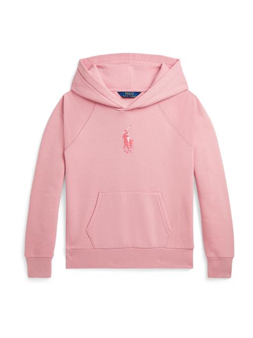 Polo Ralph Lauren Sweatshirt  gammelrosa / blodrød / hvid