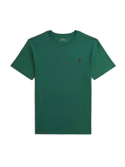 Polo Ralph Lauren Shirts  mørkegrøn / rød