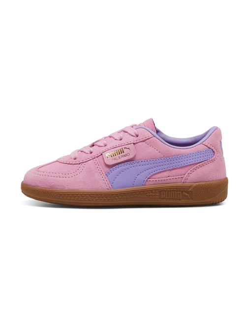 PUMA Sneakers 'Palermo PS'  guld / blomme / lyselilla