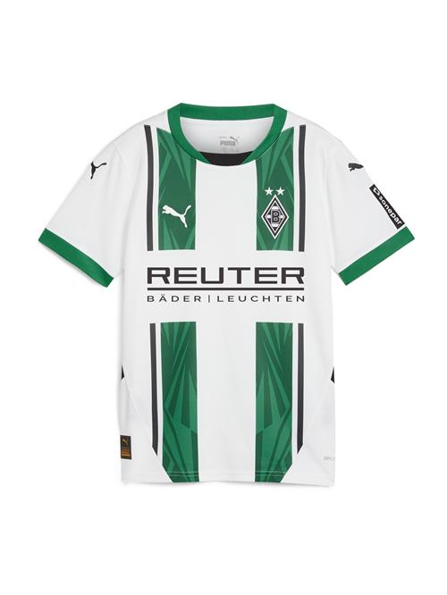 PUMA Funktionsskjorte 'Borussia Mönchengladbach 24/25'  grøn / gran / sort / hvid