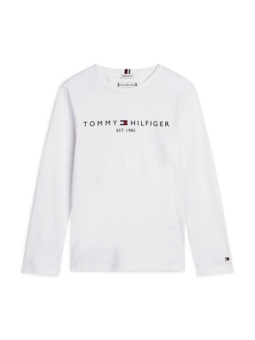 TOMMY HILFIGER Shirts 'Essential'  mørkeblå / rød / hvid