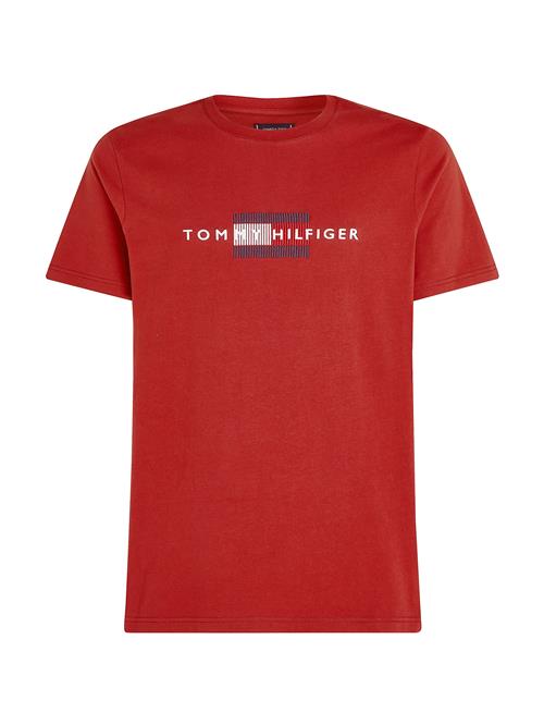 TOMMY HILFIGER Bluser & t-shirts  grå / rød / hvid