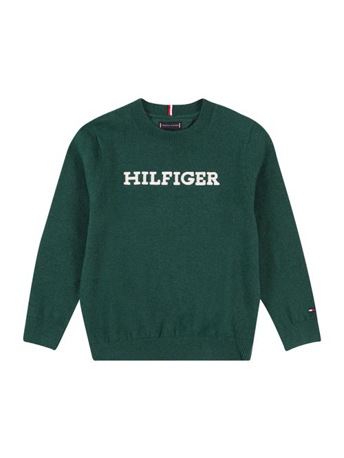 Se TOMMY HILFIGER Pullover  mørkegrøn / hvid ved About You