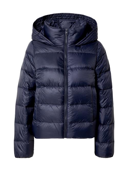 TOMMY HILFIGER Vinterjakke  navy