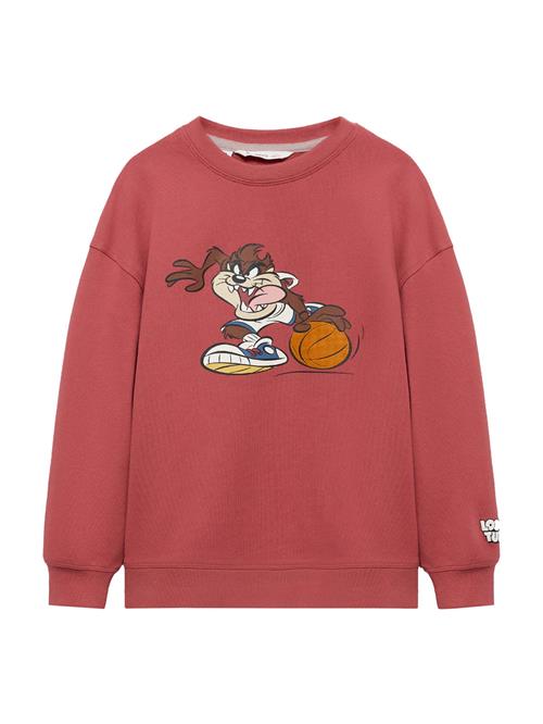 Se MANGO KIDS Sweatshirt 'TAZLT'  brun / melon / sort / hvid ved About You