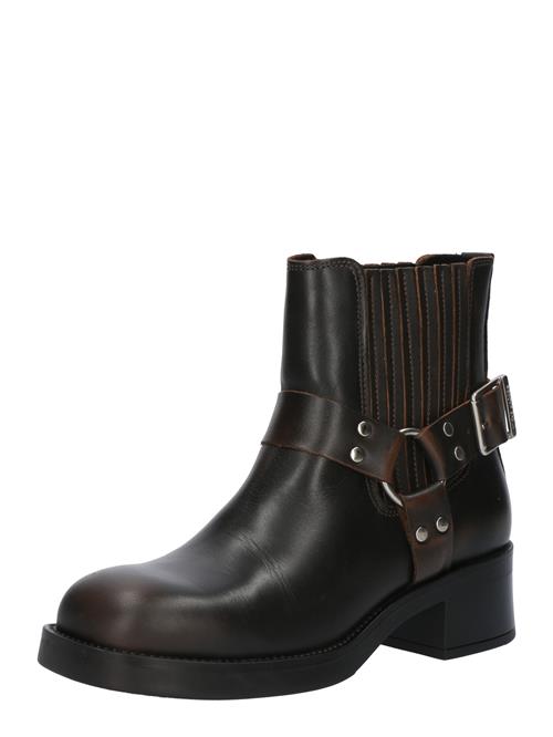 STEVE MADDEN Chelsea Boots 'Breaker'  mørkebrun