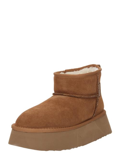 STEVE MADDEN Snowboots 'Campfire'  brun