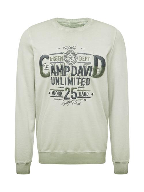 CAMP DAVID Sweatshirt  antracit / røggrå / stone / oliven