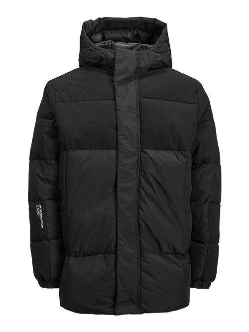 JACK & JONES Vinterjakke 'JJEForce'  sort / hvid