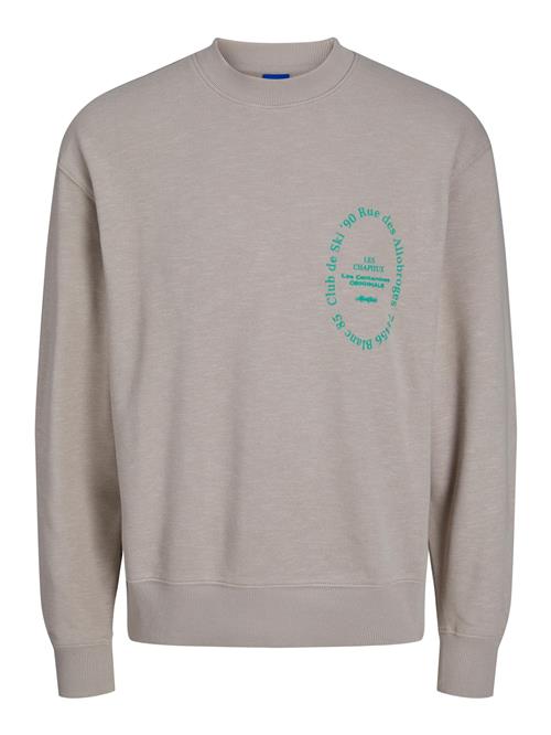 Se JACK & JONES Sweatshirt  grå / jade ved About You