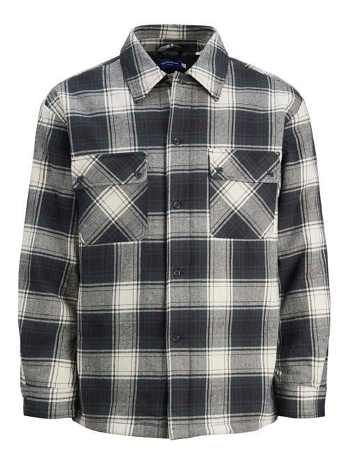 JACK & JONES Skjorte  sort / hvid