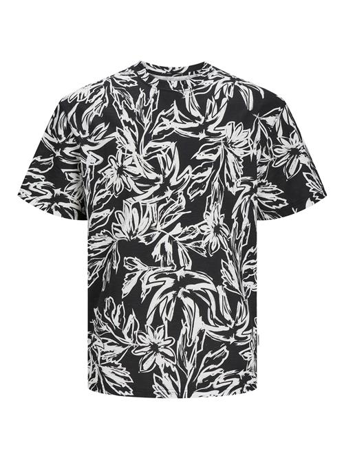 JACK & JONES Bluser & t-shirts 'Lafayette'  sort-meleret / naturhvid