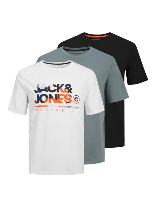 JACK & JONES Bluser & t-shirts 'JJLuke'  grå / orange / sort / hvid