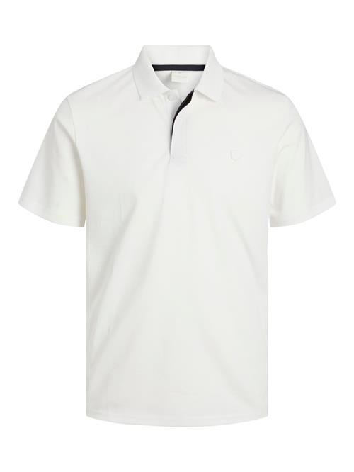 JACK & JONES Bluser & t-shirts 'JJRodney'  hvid