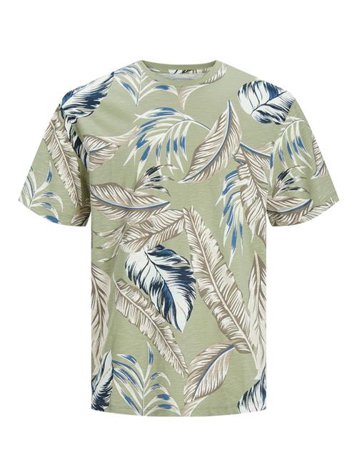 JACK & JONES Bluser & t-shirts 'JJJeff'  ensian / brokade / lysegrøn / offwhite