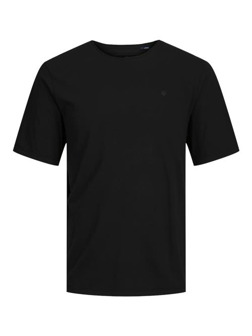 JACK & JONES Bluser & t-shirts 'JPRBlurydes'  sort