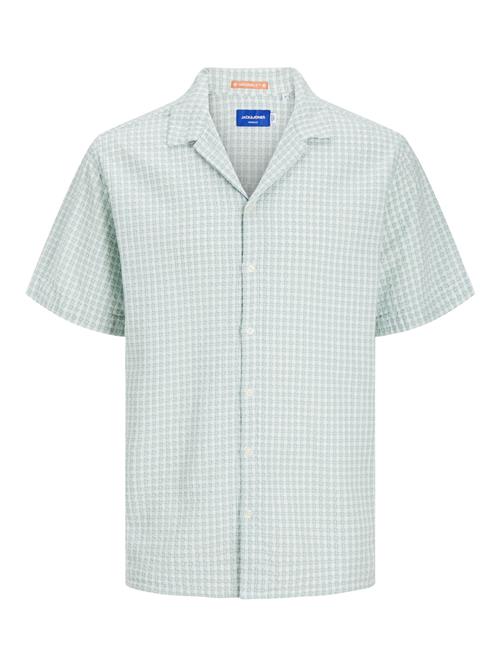 JACK & JONES Skjorte 'Luke'  pastelgrøn