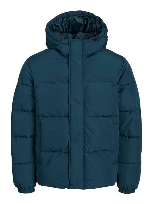 JACK & JONES Vinterjakke 'JJEBRADLEY'  petroleum